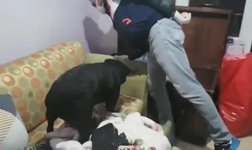 Uyuşturucu partisine şok baskın