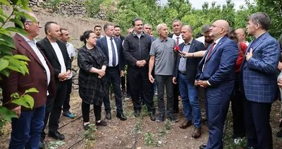 TBMM heyetinden Amasya’da “Zirai Don” incelemesi #amasya
