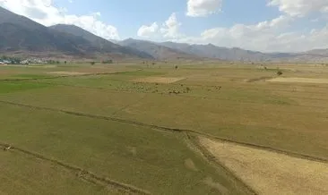 Yüksekova, son 50 yılın en kurak dönemini yaşıyor #hakkari Yüksekova, son 50 yılın en kurak dönemini yaşıyor #hakkari