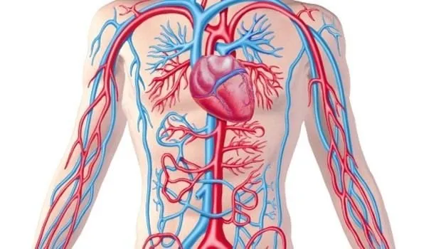 aort anevrizması hipertansiyon