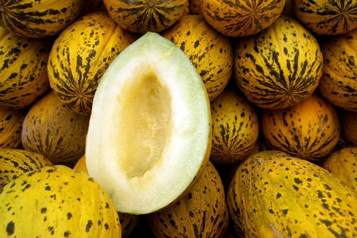 Bal gibi tatlı kavun nasıl seçilir? Lezzeti kabuğundaki bu detayda gizli!