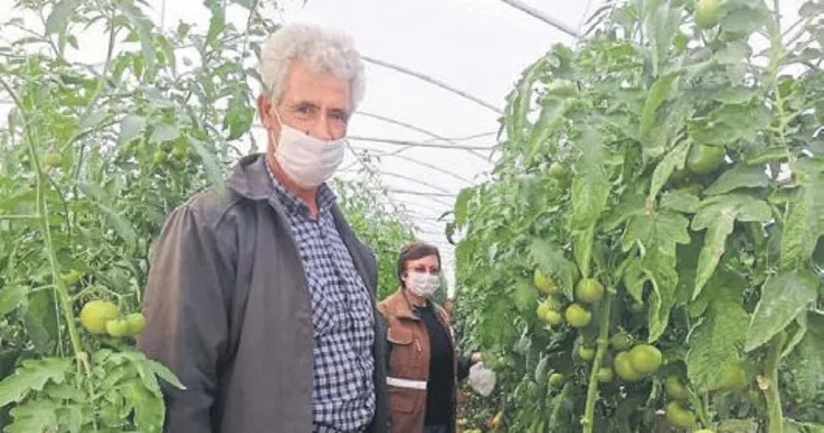 Alaşehir’de seracılık gelişiyor