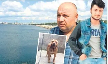 ‘Pitbull saldırınca boğuldu’ iddiası
