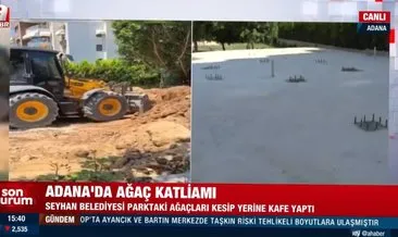Adana’da ağaç katliamı: CHP’li Seyhan Belediyesi yeşil alana beton döktü!