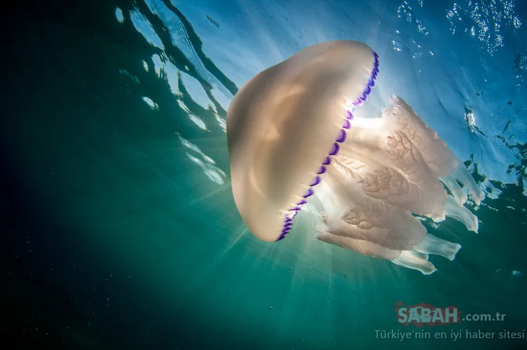 Çanakkale'de denize giren 12 yaşındaki kız hayatını şokunu yaşadı