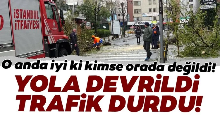 Mecidiyeköy’de faciadan dönüldü! Fırtınanın devirdiği ağaç yolu kapattı!