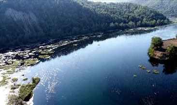 Adana Valiliğinden 'Ceyhan Nehri’nde su taşkını' uyarısı #adana