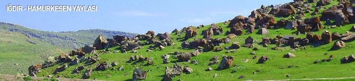 Igdir Haber Son Dakika Igdir Haberleri Guncel Haberler