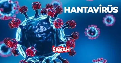 Hantavirüs nedir, nasıl ortaya çıktı, hangi ülkelerde görüldü? HANTAVİRÜS BELİRTİLERİ VE BULAŞMA YOLLARI