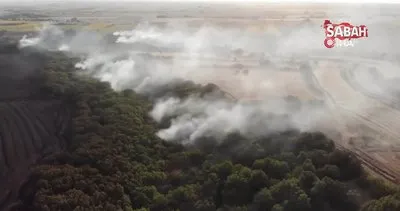Trakya’da bu yaz 126 hektar ormanlık alan yandı | Video
