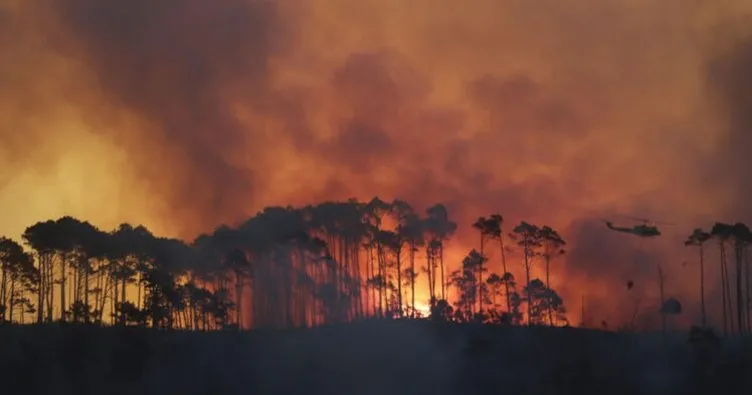 afrikada orman yangınları ile ilgili görsel sonucu
