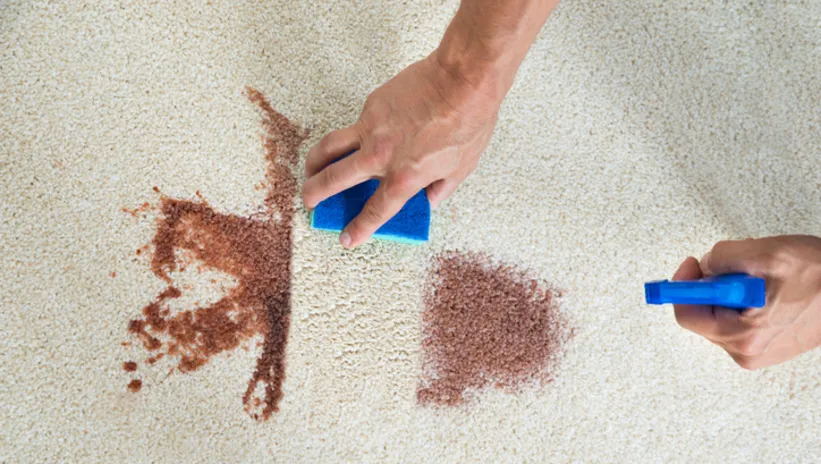 HALIDAKİ TÜM LEKELERİ TEK HAREKETTE SİLİYOR!