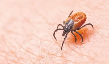 Kenelere karşı kapalı giyinin