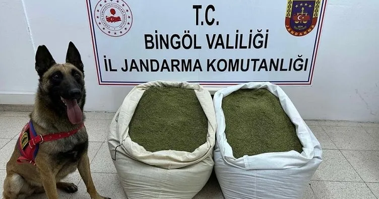 Bingöl’de uyuşturucu operasyonu