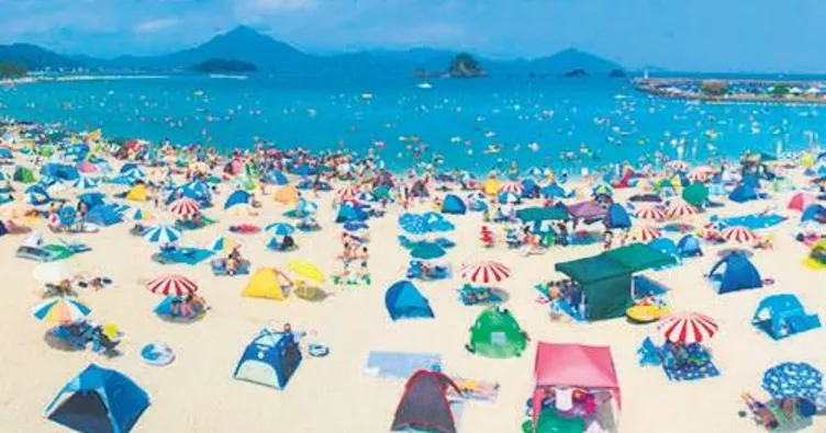 Japonya’da ‘öfkeli yunus’ paniği