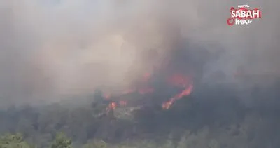 SON DAKİKA! Balıkesir’de orman yangını! İşte ilk görüntüler | Video