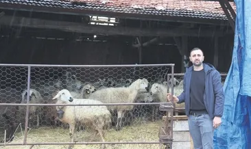 Devlet destekledi Sercan başardı