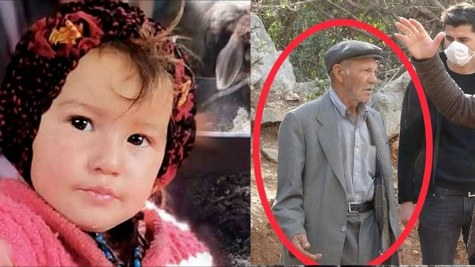 muslume yagal in kan donduran dna testi sonuclarina sabah ulasti dede hasan yagal muslume yagal in babasi cikti videosunu izle son dakika haberleri muslume yagal in kan donduran dna testi sonuclarina sabah ulasti dede hasan yagal muslume yagal in babasi cikti videosunu izle son dakika haberleri