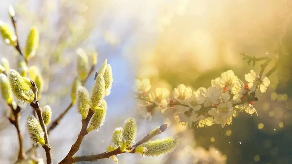 İkinci cemre ne zaman düşecek? Baharın habercisi ikinci cemre nereye düşecek?