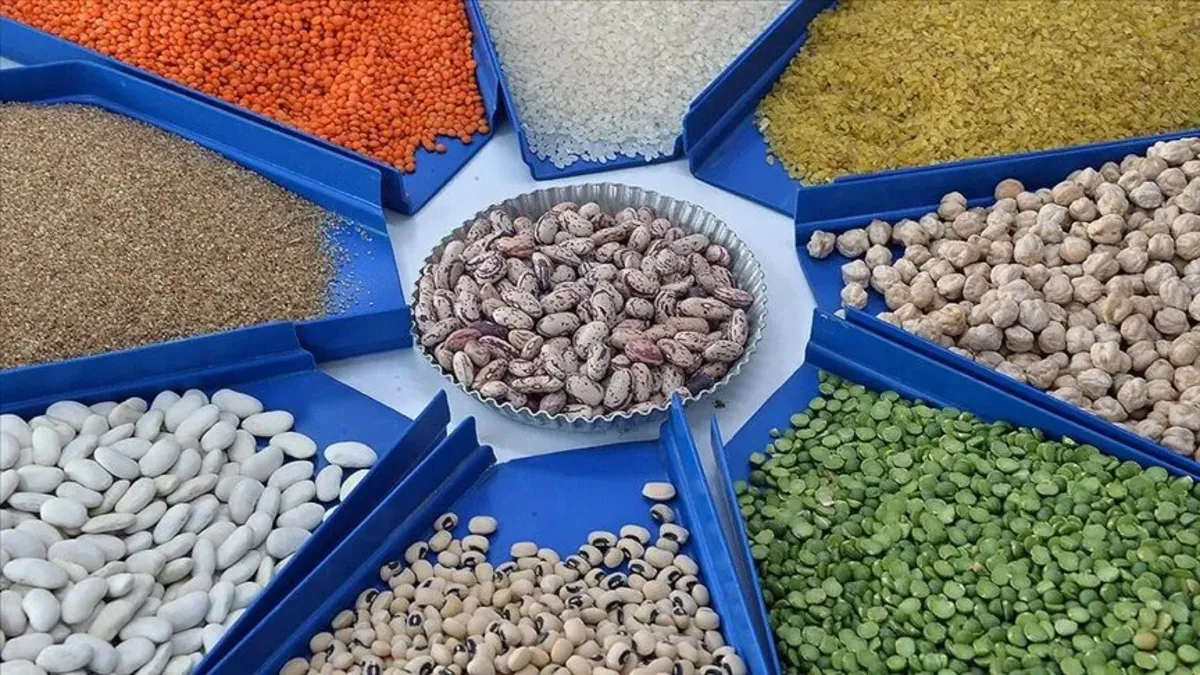 Gıda ithalatında yeni karar! Bakanlık yetkili iller listesine bir ili daha ekledi
