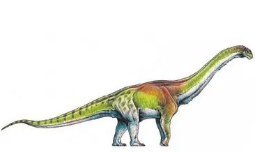 Dünyanın en büyük dinozoru keşfedildi