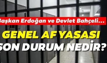 Genel af yasası son durum nedir, ikinci yargı paketinde af yasası olacak mı? Başkan Erdoğan ve Bahçeli’den af yasası açıklaması!