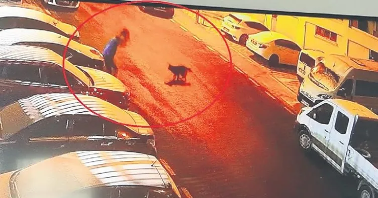 Mamak’ta sokak köpekleri dehşeti