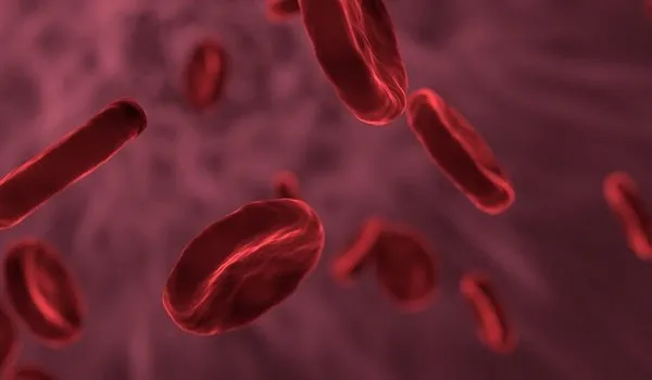 İnsan vücudunda yeni bir organ bulundu!