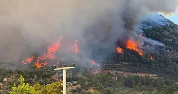 Muğla’da orman yangını! Ekiplerin müdahalesi sürüyor: Bir mahalle tedbir amacıyla boşaltıldı