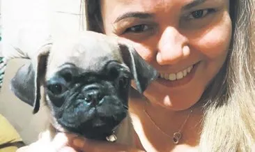 Petshop Isguzarligi Masa Yi Oldurdu Son Dakika Haberler