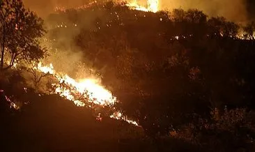 İspanya’da orman yangını!