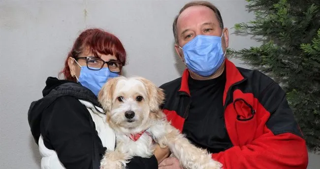 Kedi Sahiplenme Kocaeli