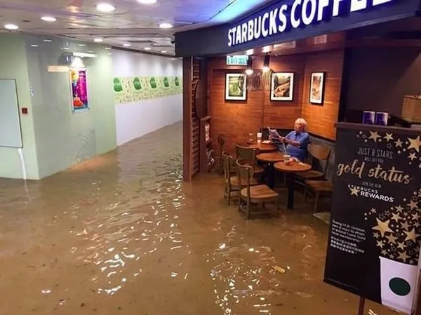 Sosyal medyanın yeni fenomeni