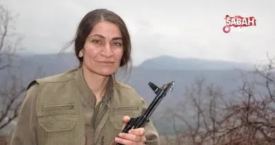 PKK’lı sözde cephane sorumlusu etkisiz | Video