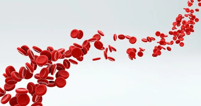 Idrar hipertansiyonunda kırmızı kan hücreleri