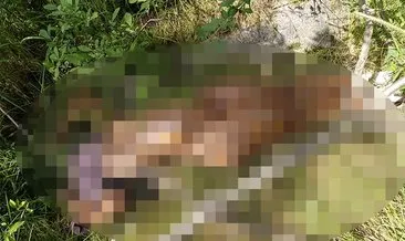 Bayrampaşa’da metronun yanında dehşet! Çıplak kadın cesedi...