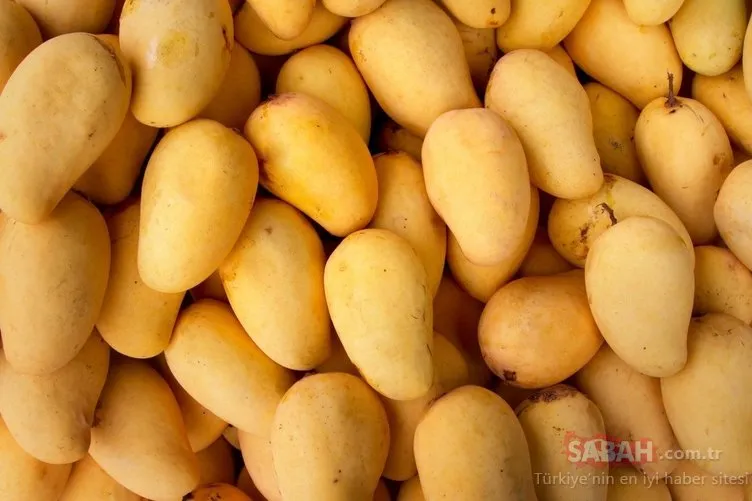 Kansızlığa iyi gelen mucizevi besin! İşte mango meyvesinin inanılmaz faydaları