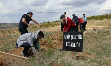 Sorgun’da Afrin şehitleri için fidan dikildi