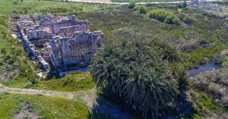 Türkiye’nin keşfedilmeyi bekleyen hazinesi Leto hurmalığı