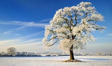 Kış Gündönümü başlangıcı: 2025 Kış Gündönümü ne zaman başlıyor, günler uzamaya başladı mı?