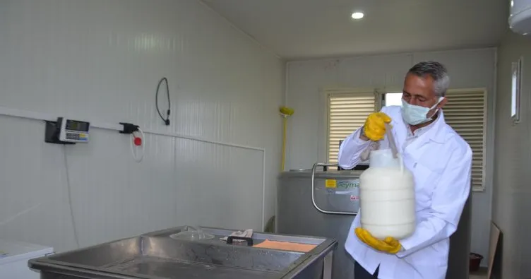 Muş’ta 57 ton kurulan süt toplama merkezlerinde süt alımına başlandı