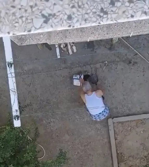 Son dakika… Manisa’da yavru kedileri işkenceyle öldürmüştü: O cani hakkında karar verildi!