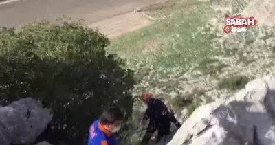Osmaniye’de kayalıklarda mahsur kalan keçileri AFAD kurtardı | Video