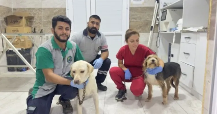 O can dostlara Menemen’de şefkat eli