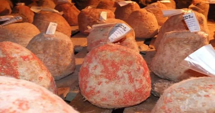 Bilim Adamlari Hayran Divle Obruk Peyniri Galeri Turkiye