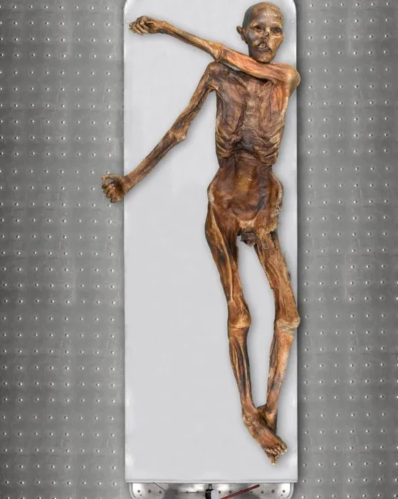 5300 yıllık buzul mumya ile ilgili şoke eden gerçek: Buz Adam Ötzi bakın nereliymiş….