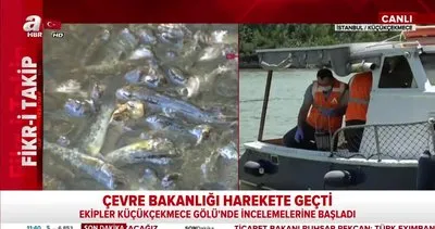 Son dakika: İstanbul Küçükçekmece Gölü’ndeki kirliliğe Çevre Bakanlığı el koydu | Video