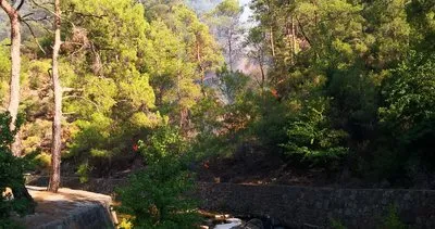 Marmaris’te orman yangını: Tüm ekipler seferber edildi