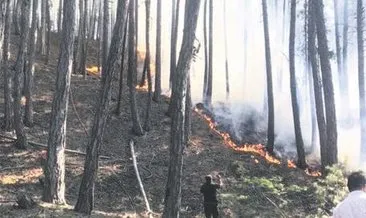 Soğuksu Milli Parkı’nda orman yangını