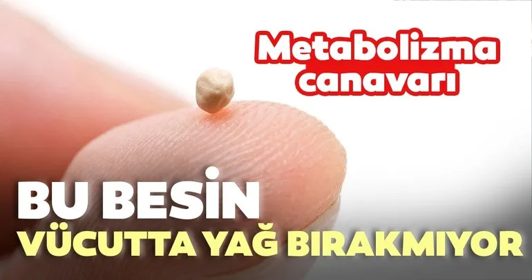 Metabolizma canavarı yiyecekler vücutta yağ bırakmıyor!